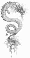Yeti. Tiger. Dragon. (Daniel Braum)