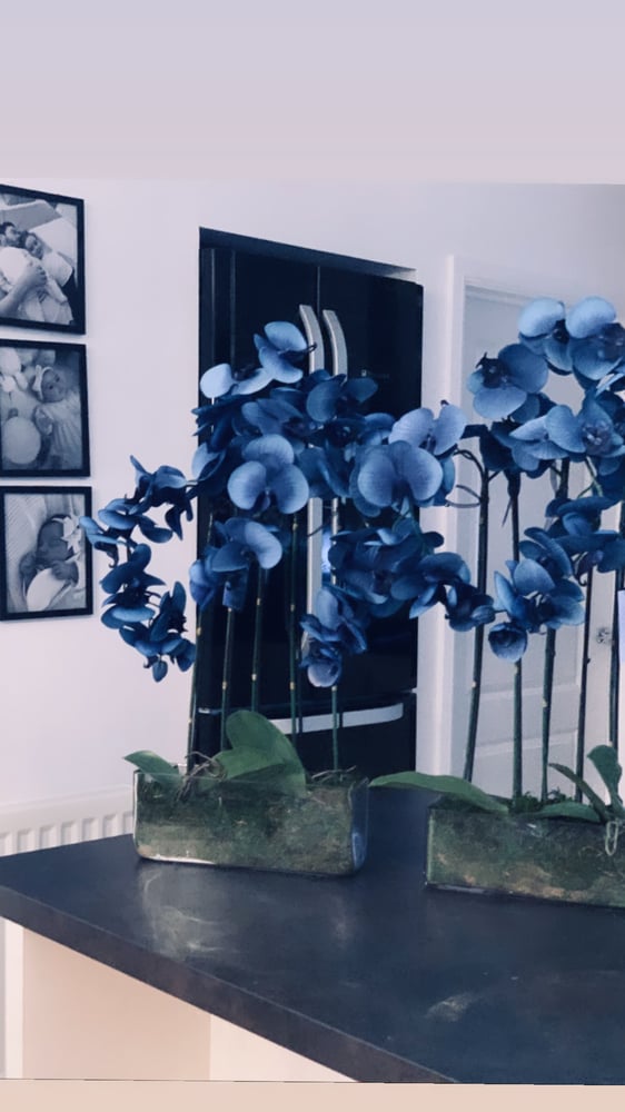 Image of Blue orchids in a rectangular vase