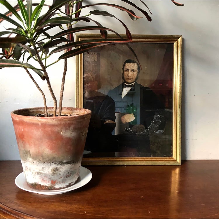 Rare Opalotype :Portrait of a gentleman