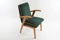 Image 1 of Fauteuils FLAMINGO verts sapin