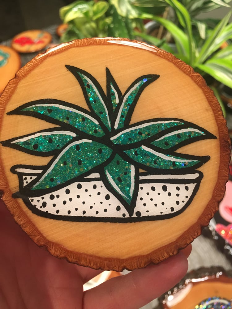 Image of Succulent 1
