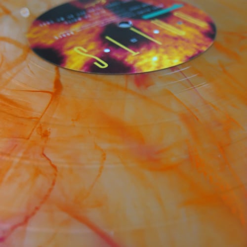 Image of <h4>UNITS</h4><h5>Animals They Dream About LP</h5><h6>Wild DNA</h6>