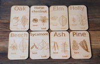 Tree identification cards