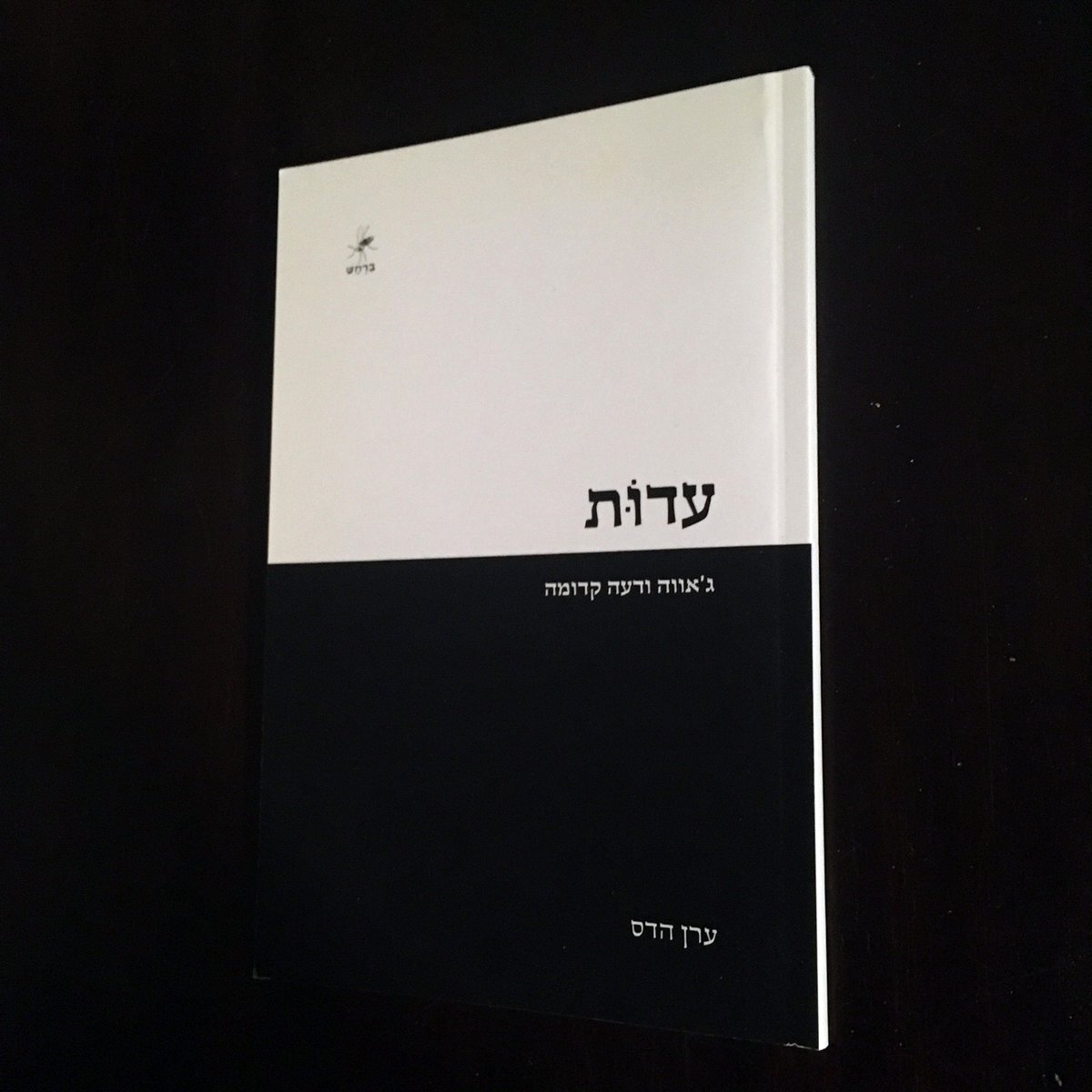 Image of ערן הדס - עדות