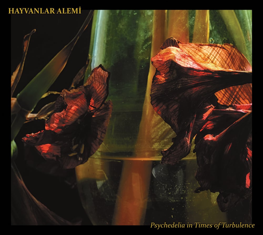 Hayvanlar Alemi- Psychedelia In Times Of Turbulence - Lp Black