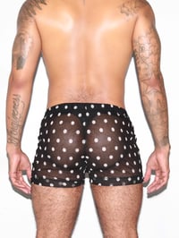 Image 2 of THE POLKA-D SHORT