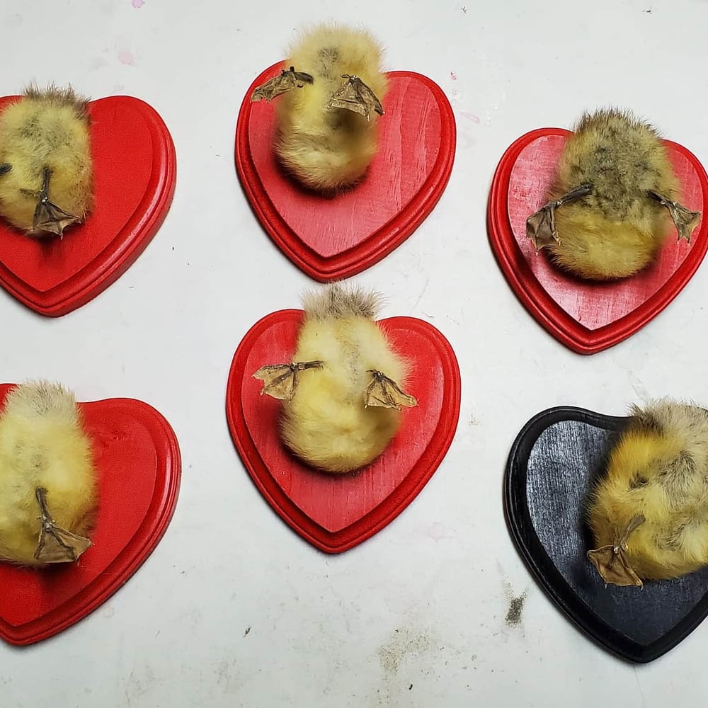 Image of Heart shaped Duck Butts