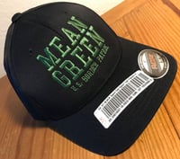 Image 1 of MEAN GREEN FLEX FIT BALL CAP