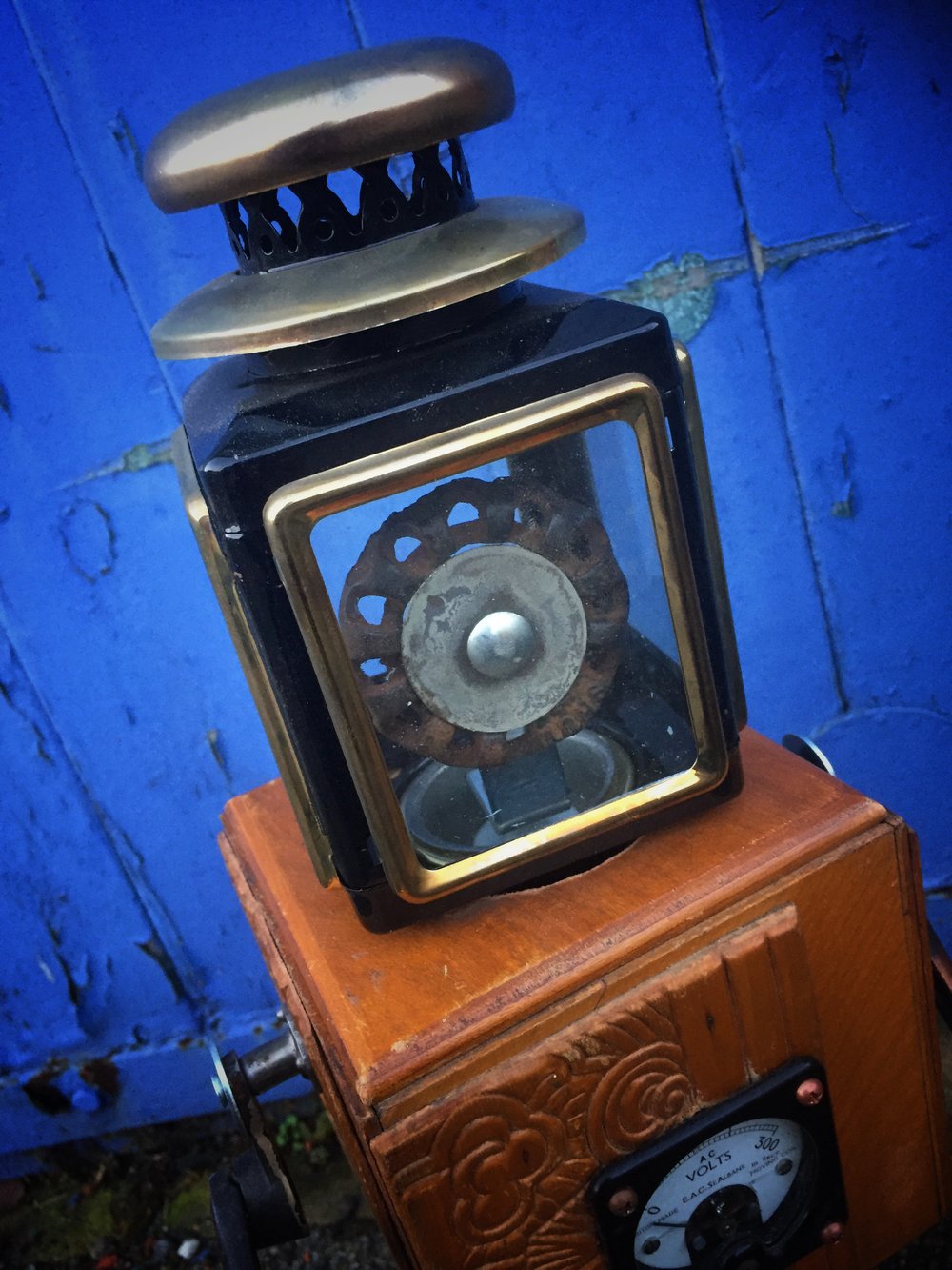 Image of Buggerlugs 2