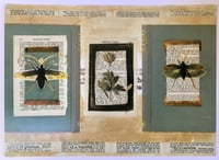 Image 1 of Postcard - various