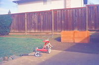 Archival Color Print "Radio Flyer, 1.19.20", Various Sizes, Ready to Ship