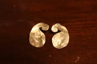 Paisley park earrings
