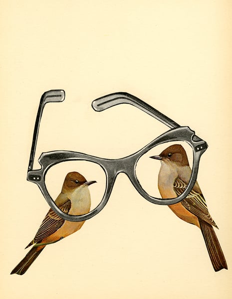 Image of Bird Nerds. Limited edition collage print.