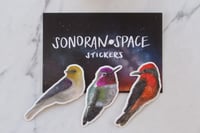 Space Bird Stickers: Backyard Buddies