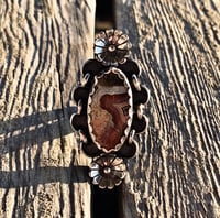Image 1 of ✺ Size 7 ✺ 