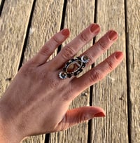 Image 2 of ✺ Size 7 ✺ 