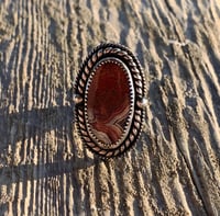 Image 1 of ✺ Size 6 ✺ 