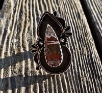 Image 1 of ❋ Size 7 ❋