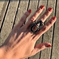 Image 2 of ❋ Size 7 ❋