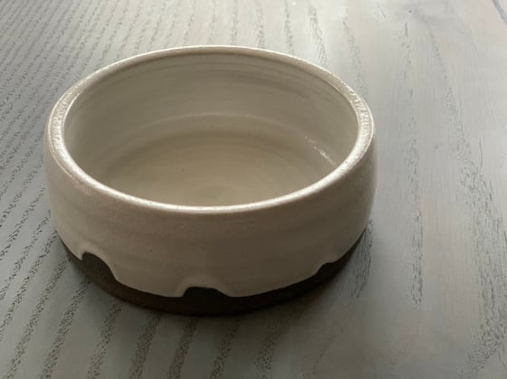 Image of Perfect Pet Bowl