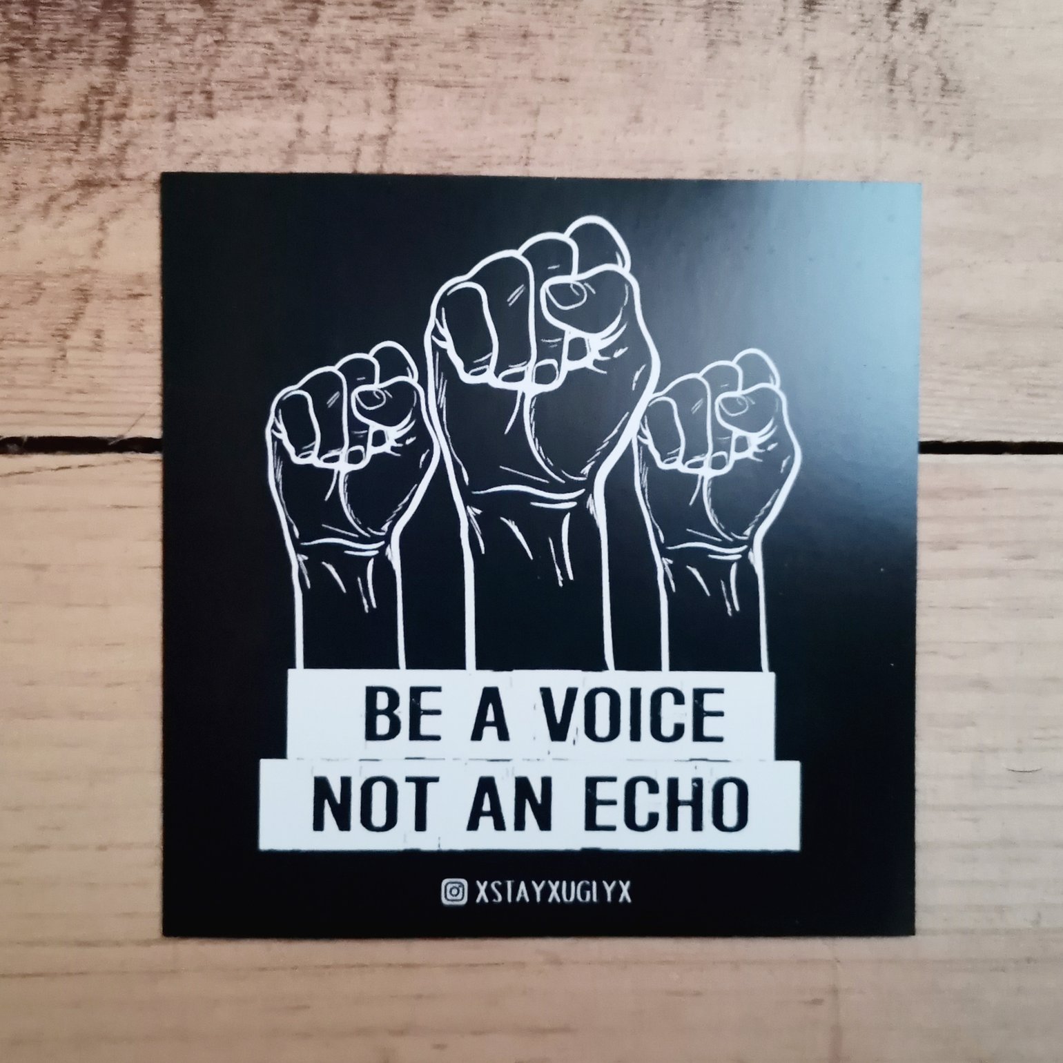 Image of "BE A VOICE NOT AN ECHO" | Sticker | Antifa | 161 | ACAB | feminist | vegan | 