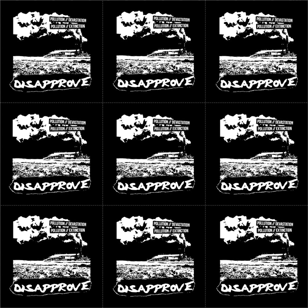 Disapprove Devastation 12-inch black vinyl record