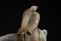 Image 2 of DANY JUNG - CERAMIC SCULPTURE - 'THE GOLDEN APPLE