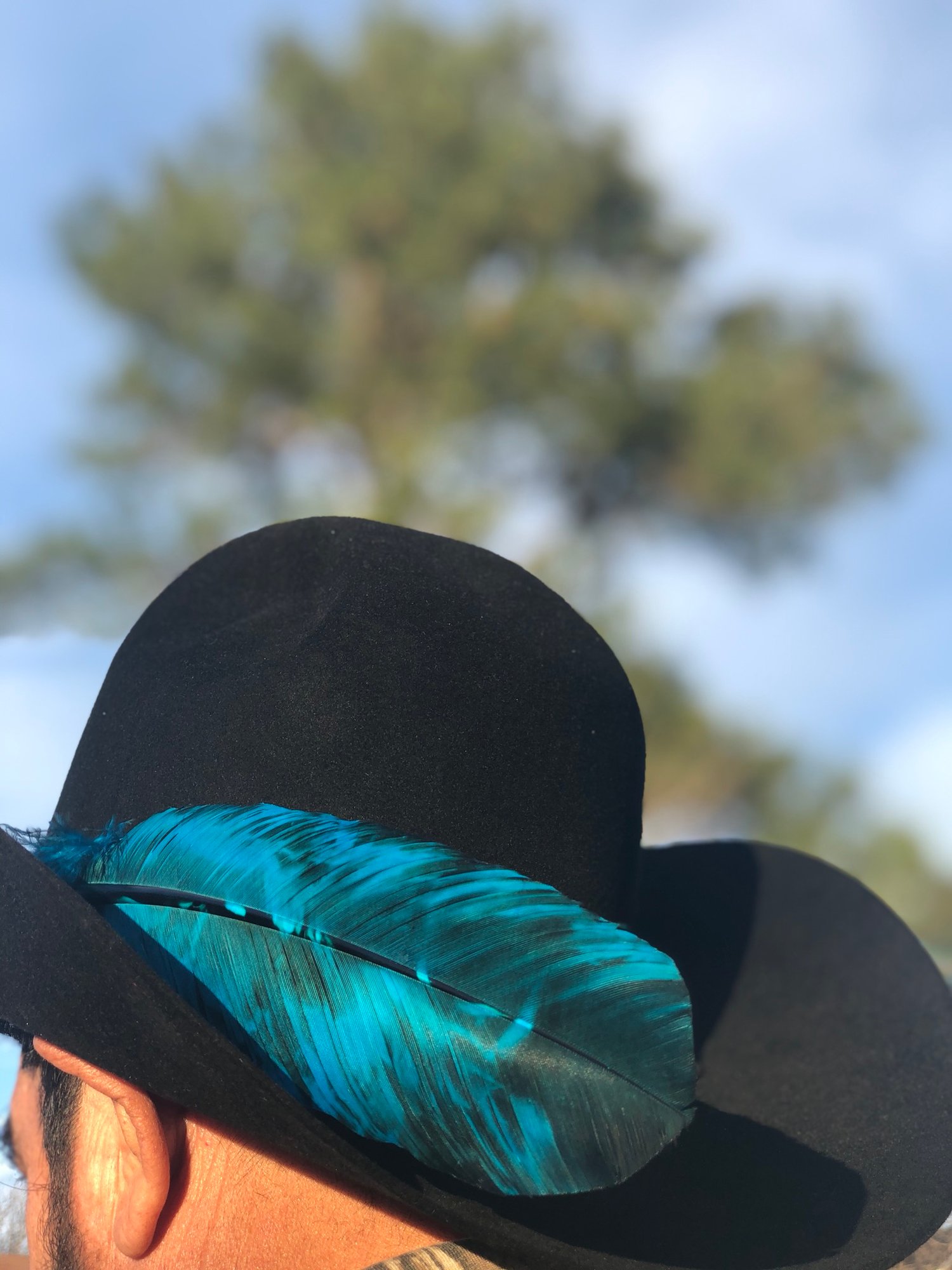 Image of Aqua Blue and Black Feather