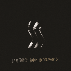 Image of Back To The Party LP