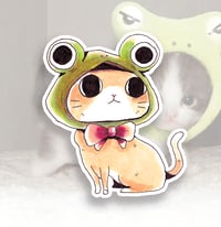 Frog Cat Sticker