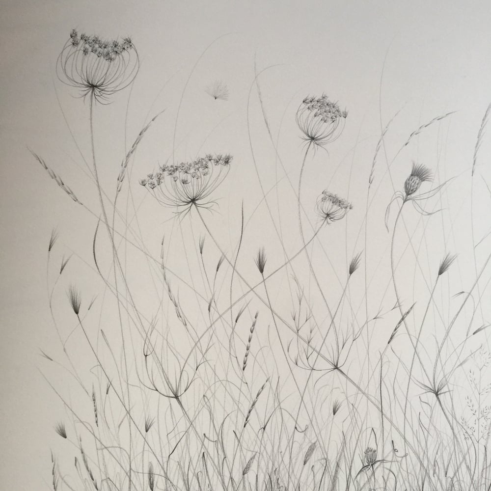 Image of Original graphite drawing - willow