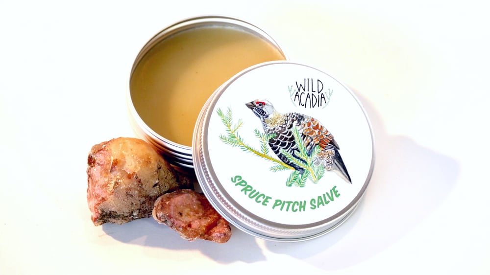Image of Spruce Pitch Salve