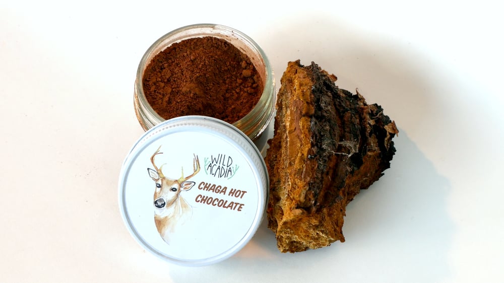 Image of Chaga Hot Chocolate