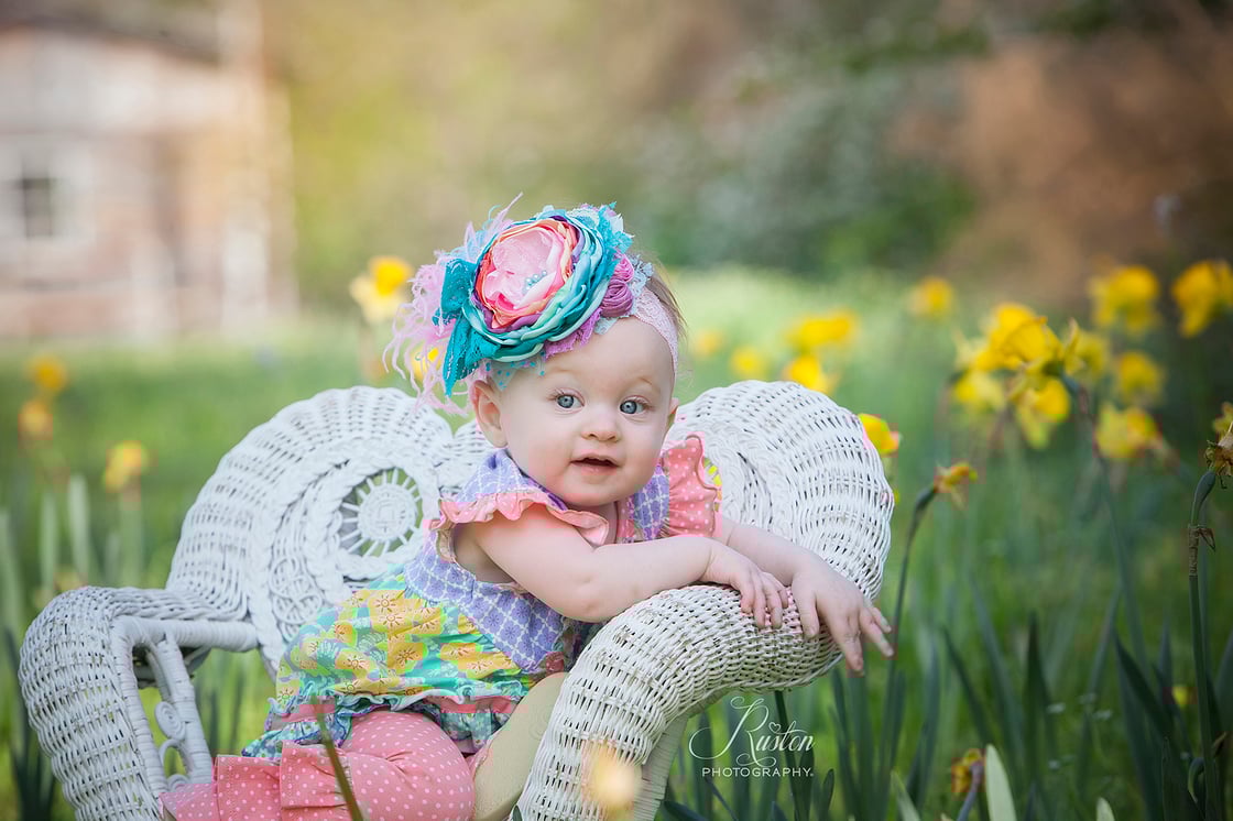 Image of Retainer fee Spring mini session