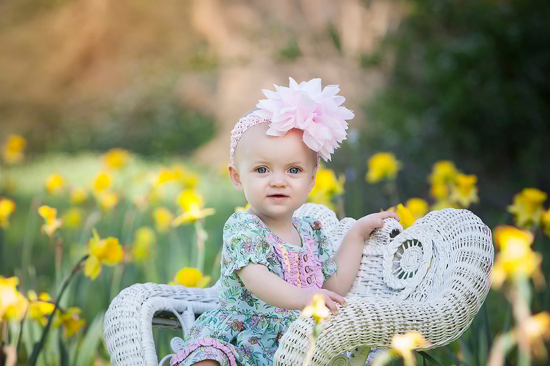 Image of Retainer fee Spring mini session