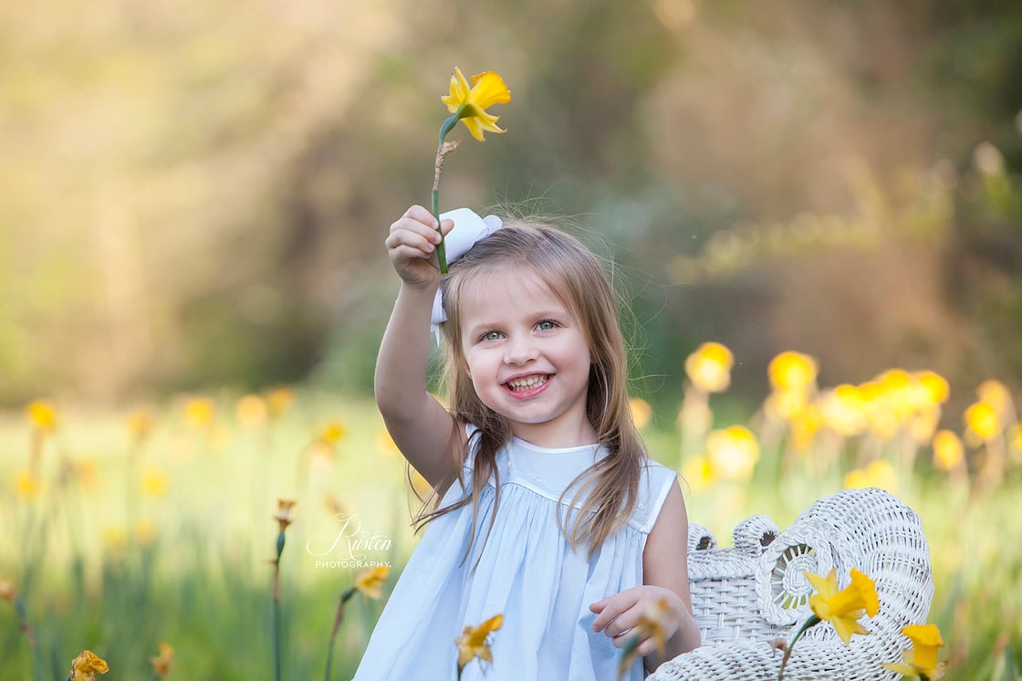 Image of Retainer fee Spring mini session