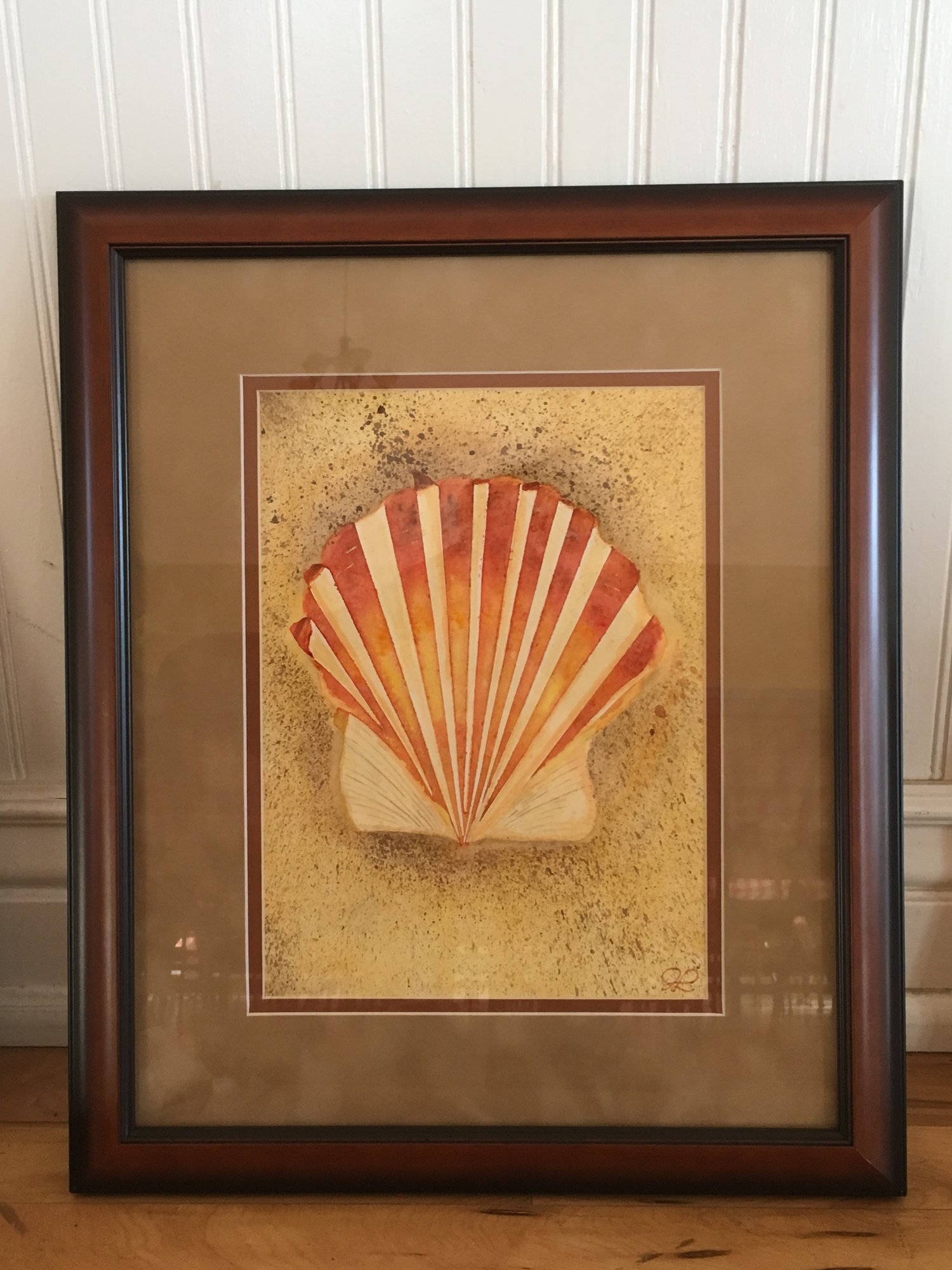 Image of Scallop Shell