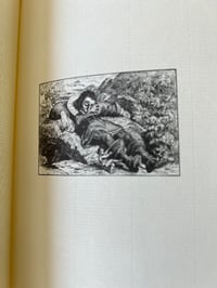 Image 16 of Les contes de Charles Perrault, éditions de luxe Jean de Bonnot, 1978.