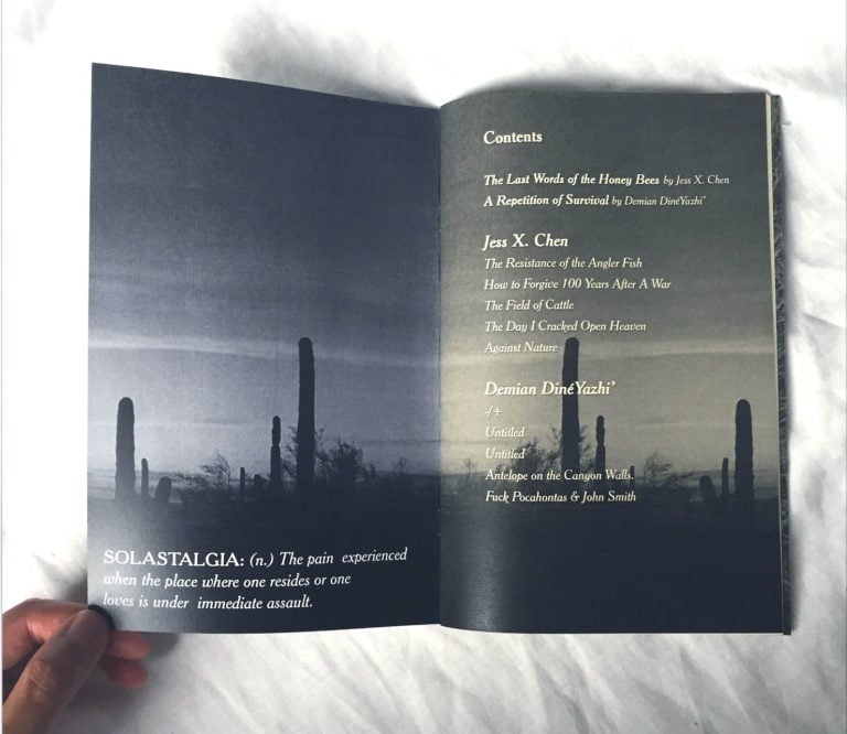 Image of Solastalgia Poetry Zine