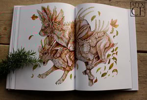 Image of The Orata; A compendium of the cultures and creeds of Naa hardback book by Alex CF