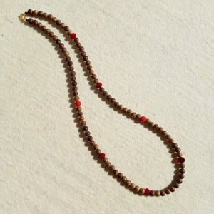 Image of BOTÀNICA (Forest)