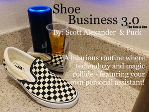 Image of Shoe Business 3.0