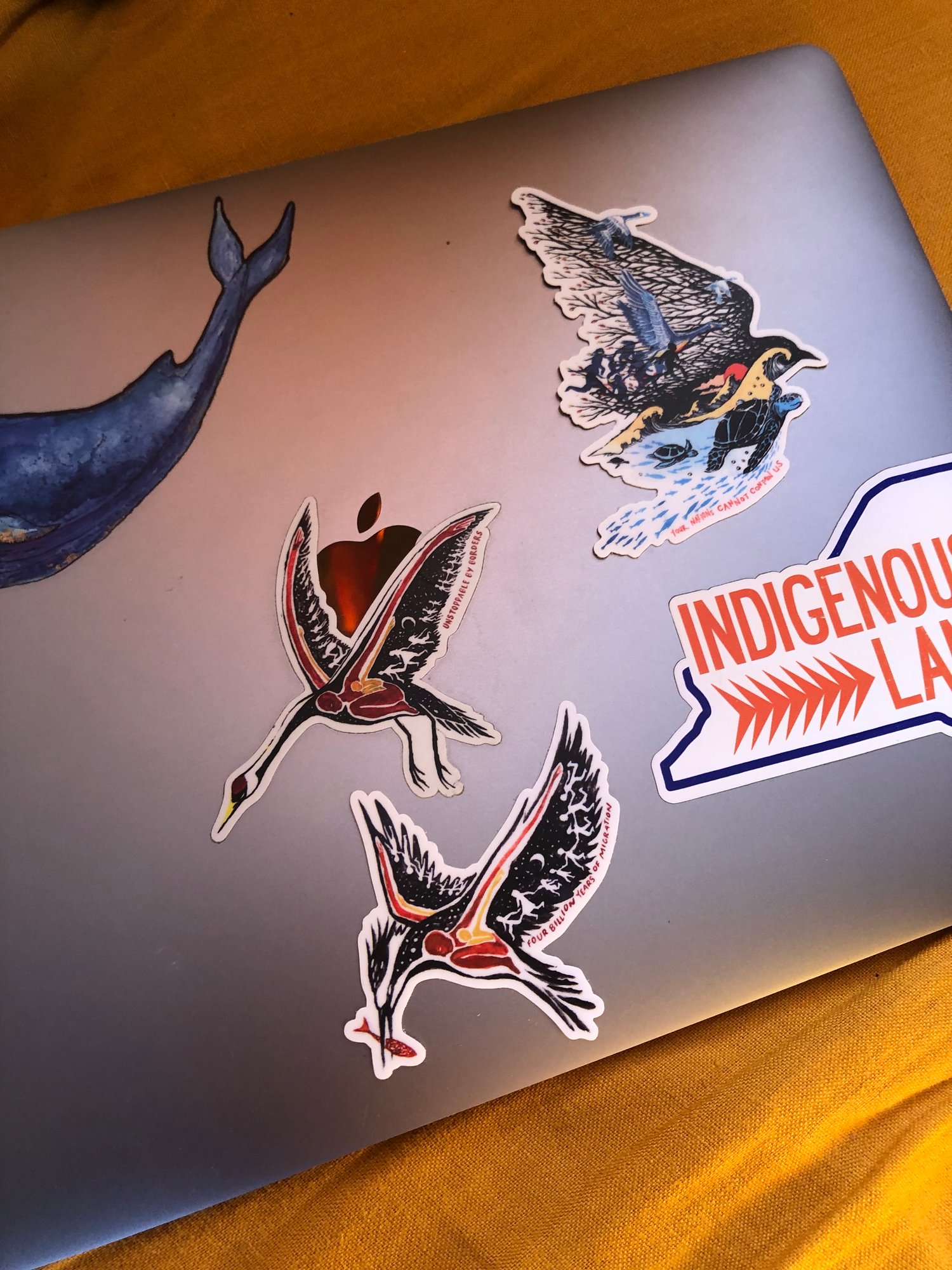 Image of Migratory Sticker Set