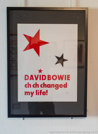 Image 1 of Bowie