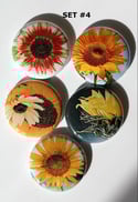 Sunflower Flair