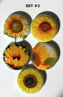 Sunflower Flair