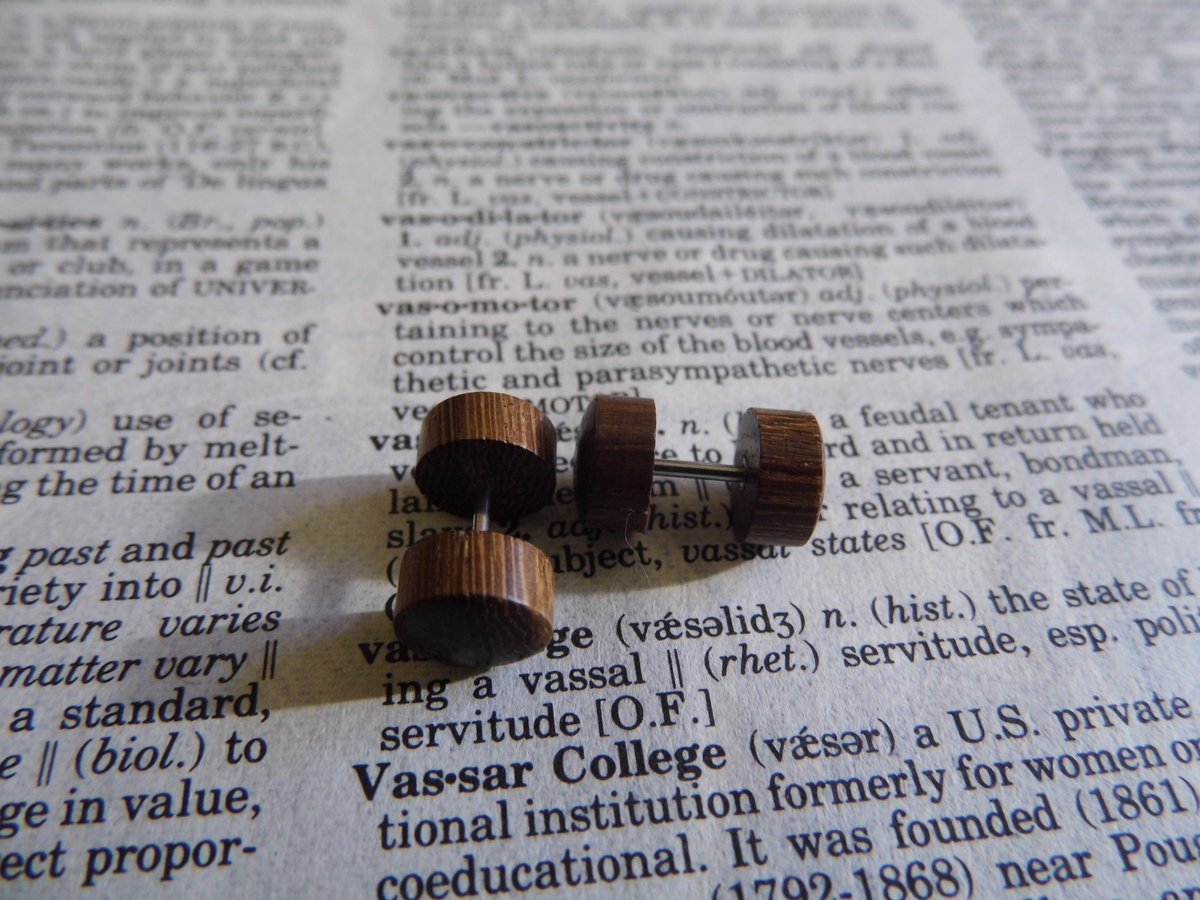 Pair of Brown Wood Earring Stud Faux Plugs