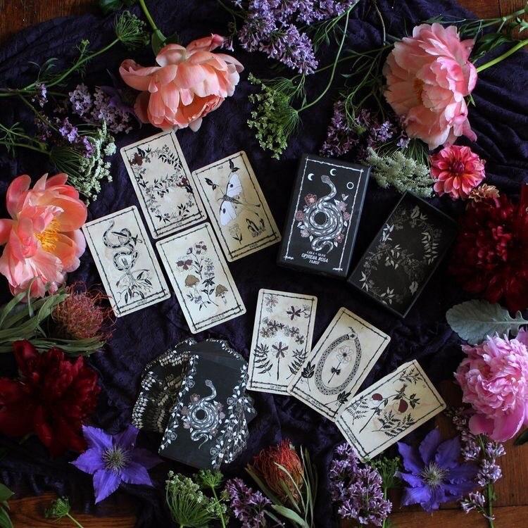Image of Tarot reading