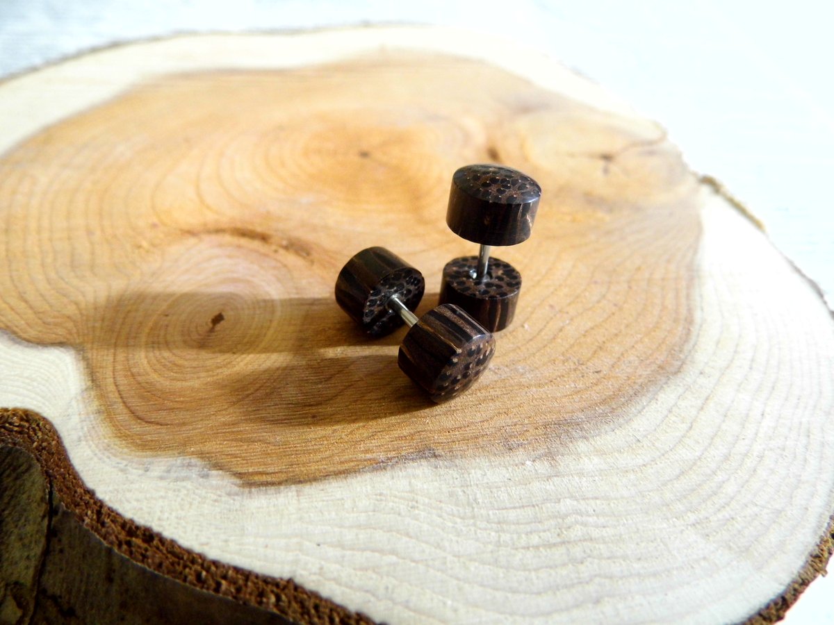 Pair Coco Wood Earring Studs Faux Plugs