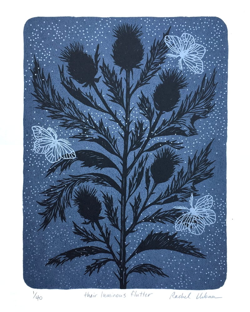 Image of Their luminous flutter ~ screenprint